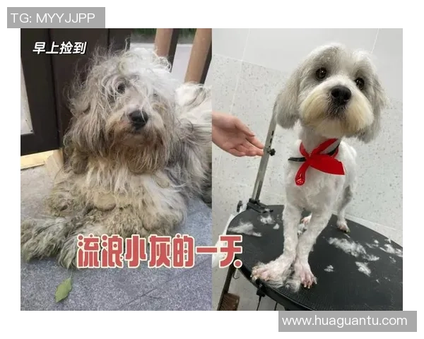 重庆滑板队的逆袭之旅：从街头到赛场的奋斗与荣耀